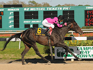 Franny Freud, 'Diva' to Battle in Beaumont Franny Freud, 'Diva' to Battle in Beaumont