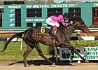 Franny Freud, 'Diva' to Battle in Beaumont Franny Freud, 'Diva' to Battle in Beaumont