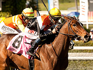 Diversy Harbor Leads Well-Matched Providencia Diversy Harbor Leads Well-Matched Providencia
