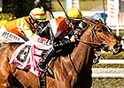 Diversy Harbor Leads Well-Matched Providencia Diversy Harbor Leads Well-Matched Providencia