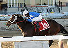 Divided Attention Claims First Stakes Win Divided Attention Claims First Stakes Win