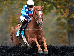 Steeplechase Eclipse to Divine Fortune Steeplechase Eclipse to Divine Fortune