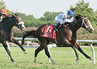 Divine Oath Holds Off Bashart in Kent Stakes Divine Oath Holds Off Bashart in Kent Stakes