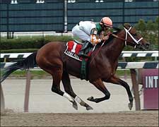 Divine Park Overpowering Withers Winner Divine Park Overpowering Withers Winner