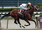 General George Draws Solid Field