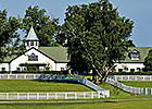 Dixiana to Sponsor Two Keeneland Stakes Dixiana to Sponsor Two Keeneland Stakes