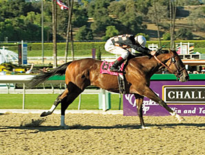 Mandella: Dixie Chatter Set for Barrera Mandella: Dixie Chatter Set for Barrera