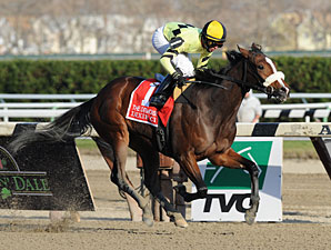 Dixie City Romps in Demoiselle Dixie City Romps in Demoiselle