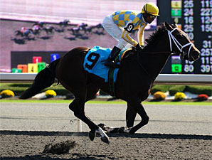 Filly Dixie Strike Favored for Queen's Plate Filly Dixie Strike Favored for Queen's Plate