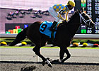 Dixie Strike Bursts to Ontario Lassie Victory Dixie Strike Bursts to Ontario Lassie Victory