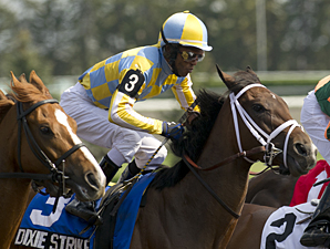 Dixie Strike Takes Rail Trip to Win Selene Dixie Strike Takes Rail Trip to Win Selene