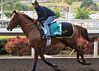 HK Hopefuls Make Final Preparations HK Hopefuls Make Final Preparations