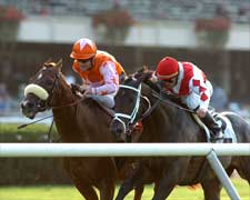 Doctor Dino Outlasts Sunriver in Man o' War Doctor Dino Outlasts Sunriver in Man o' War