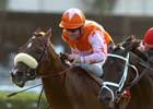 Doctor Dino Outlasts Sunriver in Man o' War