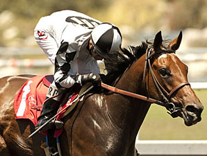 Doinghardtimeagain Cracks Hollywood Oaks Doinghardtimeagain Cracks Hollywood Oaks
