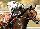 Doinghardtimeagain Cracks Hollywood Oaks Doinghardtimeagain Cracks Hollywood Oaks