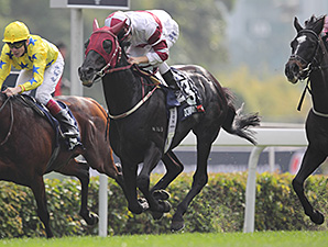 Dominant Upsets The Fugue in Hong Kong Vase Dominant Upsets The Fugue in Hong Kong Vase