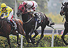 Dominant Upsets The Fugue in Hong Kong Vase Dominant Upsets The Fugue in Hong Kong Vase