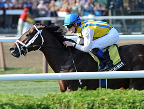 Multiple Graded Winner Dominus to Spendthrift Multiple Graded Winner Dominus to Spendthrift