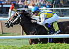 Multiple Graded Winner Dominus to Spendthrift Multiple Graded Winner Dominus to Spendthrift