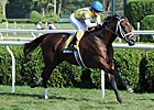 Grass Greener for Dominus in Bernard Baruch Grass Greener for Dominus in Bernard Baruch