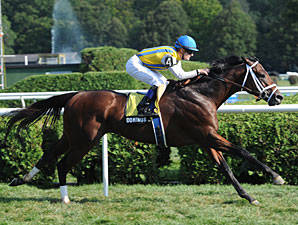 Dominus Returns to Turf in Ft. Lauderdale