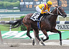 Dominus an Easy Dwyer Winner