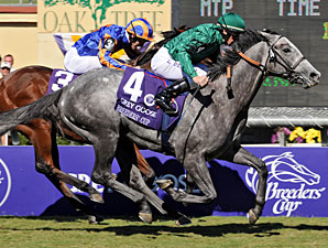 Euros Are 1-2 in the BC Juvenile Turf Euros Are 1-2 in the BC Juvenile Turf
