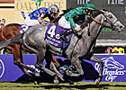Euros Are 1-2 in the BC Juvenile Turf Euros Are 1-2 in the BC Juvenile Turf