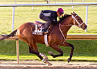 Done Talking Zips Five Furlongs at Laurel Done Talking Zips Five Furlongs at Laurel