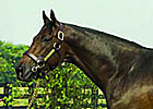 Don't Get Mad Sires First Winner