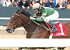 Don't Tell Sophia Set to Defend Bayakoa Title Don't Tell Sophia Set to Defend Bayakoa Title