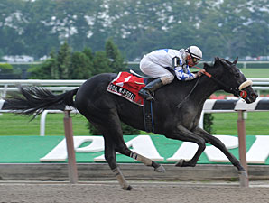 Promising Filly Runs Like a Sweet Song Promising Filly Runs Like a Sweet Song