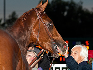 Baffert: Dortmund is 'Figuring it Out' Baffert: Dortmund is 'Figuring it Out'