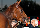 Baffert: Dortmund is 'Figuring it Out' Baffert: Dortmund is 'Figuring it Out'