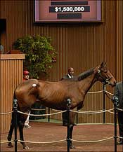 Downthedustyroad Tops Fourth Session of Keeneland January Sale Downthedustyroad Tops Fourth Session of Keeneland January Sale