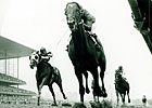 Haskin Series Part 3: Clash of the Titans Haskin Series Part 3: Clash of the Titans