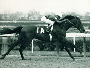 Trainer John Nerud Also a Prominent Breeder Trainer John Nerud Also a Prominent Breeder