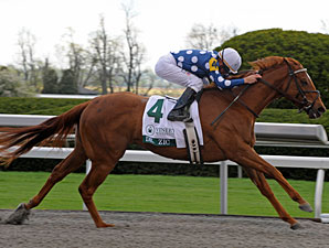 Grade I Winners Top Chicago Handicap Lineup Grade I Winners Top Chicago Handicap Lineup