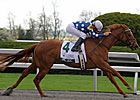 Grade I Winners Top Chicago Handicap Lineup Grade I Winners Top Chicago Handicap Lineup