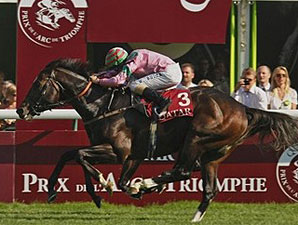 Dream Ahead Nips Goldikova at Wire in Foret Dream Ahead Nips Goldikova at Wire in Foret