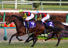 Dream Journey Captures Japan's Grand Prix Dream Journey Captures Japan's Grand Prix