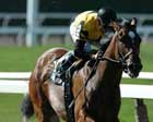 Prioress Brings Together Appealing Zophie, Dream Rush Prioress Brings Together Appealing Zophie, Dream Rush