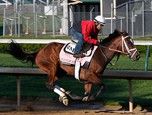 Pletcher Considers Fillies for Belmont Stakes Pletcher Considers Fillies for Belmont Stakes