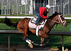 Pletcher Considers Fillies for Belmont Stakes Pletcher Considers Fillies for Belmont Stakes
