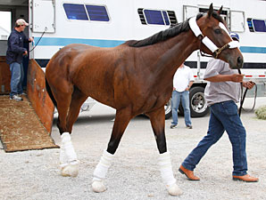 KY Oaks Contenders Arrive at Churchill KY Oaks Contenders Arrive at Churchill