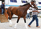 KY Oaks Contenders Arrive at Churchill