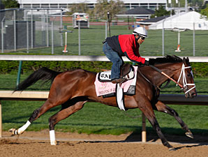 Oaks Contenders Breeze at Churchill Downs Oaks Contenders Breeze at Churchill Downs