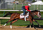 What's Going On Here: Wild Card for Fillies