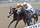 Dreaming of Julia Prevails in Close Frizette